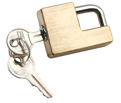 Reese Towpower&reg; - Coupler Lock