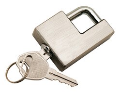 Reese Towpower&reg; - Coupler Lock