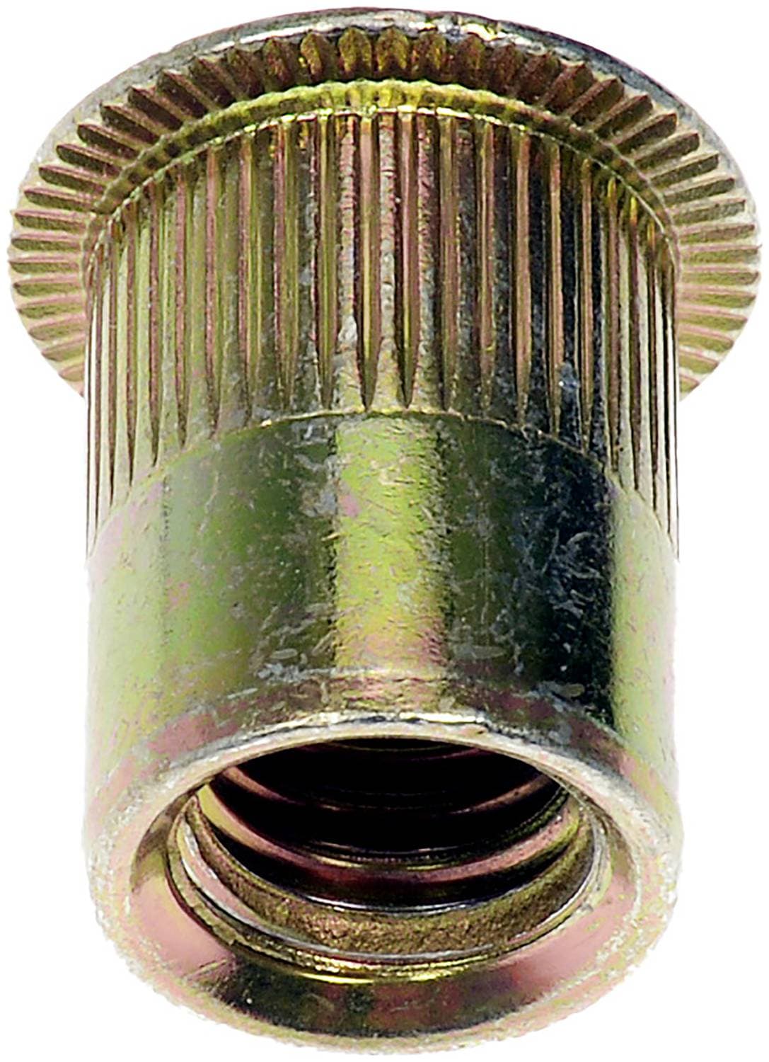 Dorman Rivet Nut 963282D | O'Reilly Auto Parts