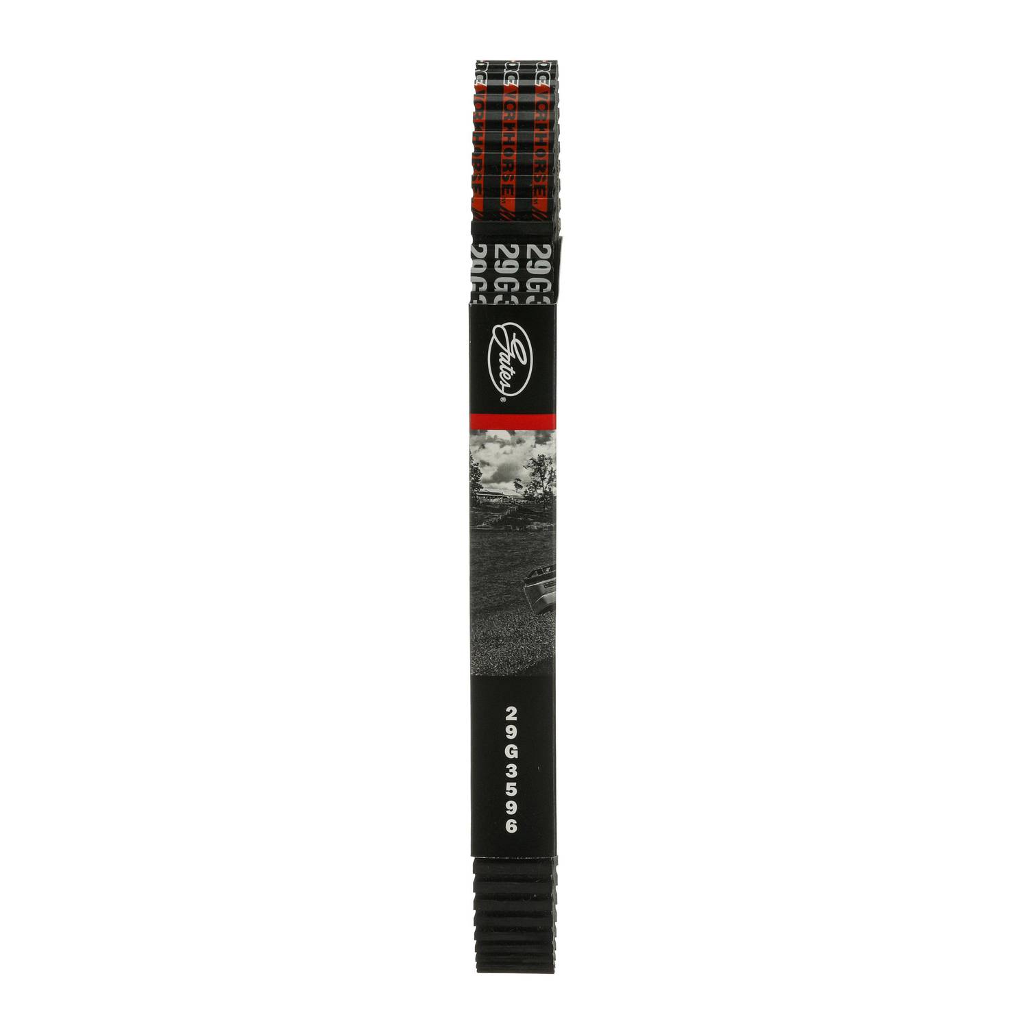 Gates 34C3596 G-Force Drive Belt C-12 | Canada