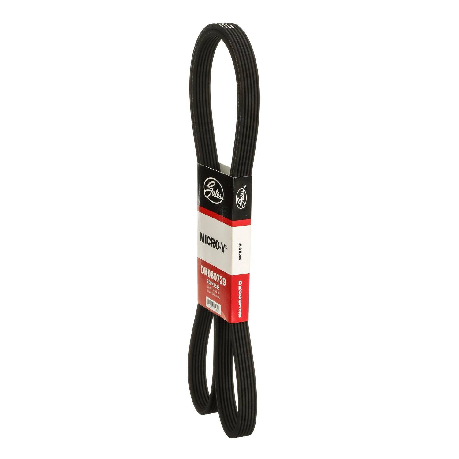 ribon Gates Micro-V Serpentine Belt 6 Rib 74-3/16 Inch DK060729