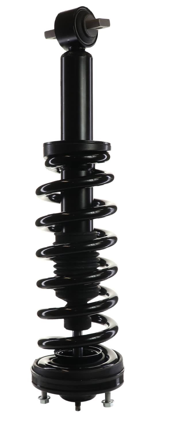 コロンビア産　キプリスモルフォ　116mm Monroe Shocks & Struts 172263 Monroe Quick-Struts | Summit