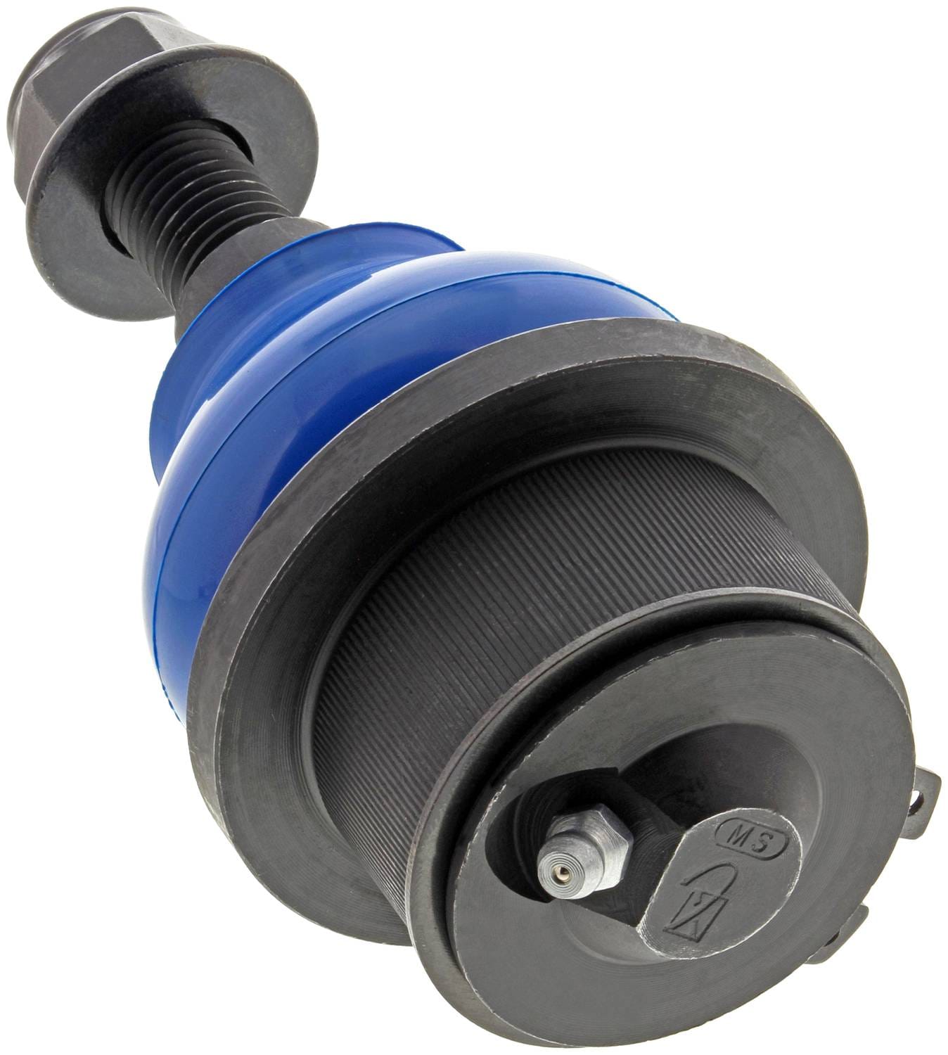 k500232_bac.jpg