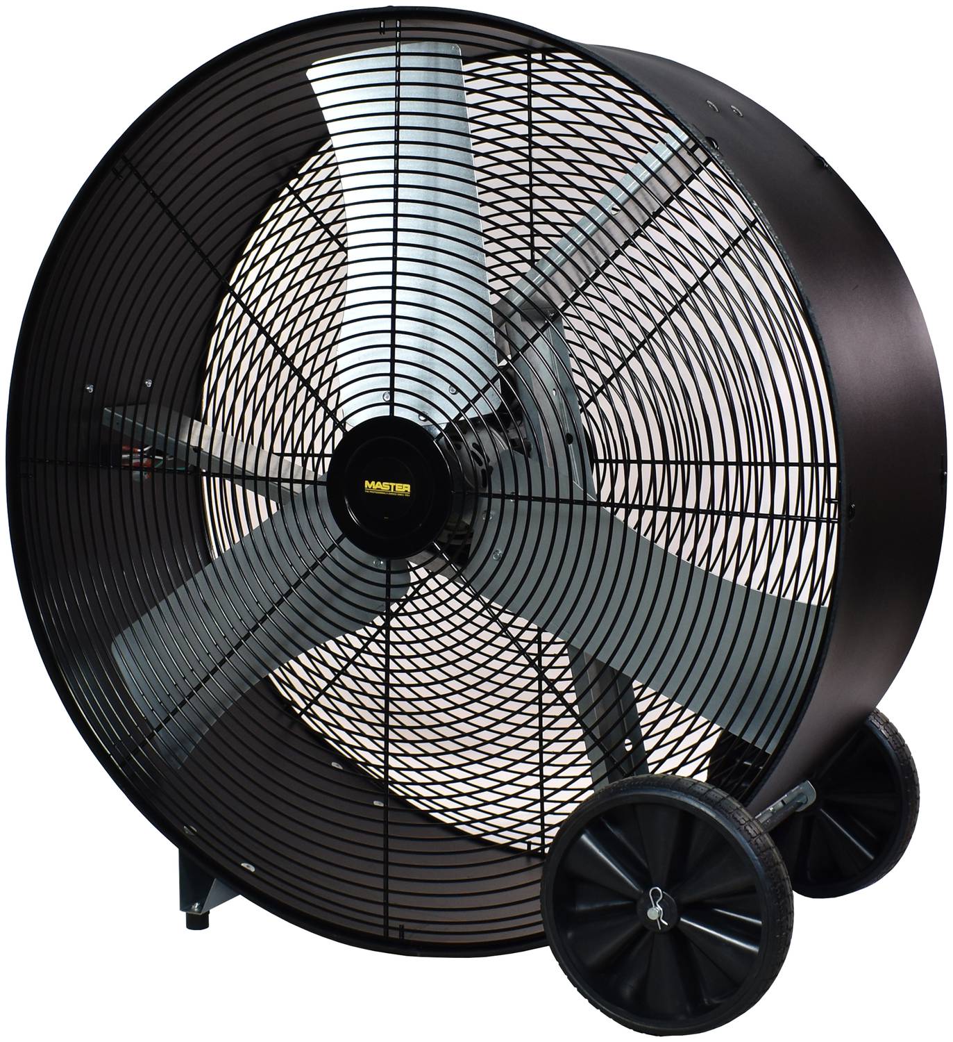 Daniel Fan Dayton 30