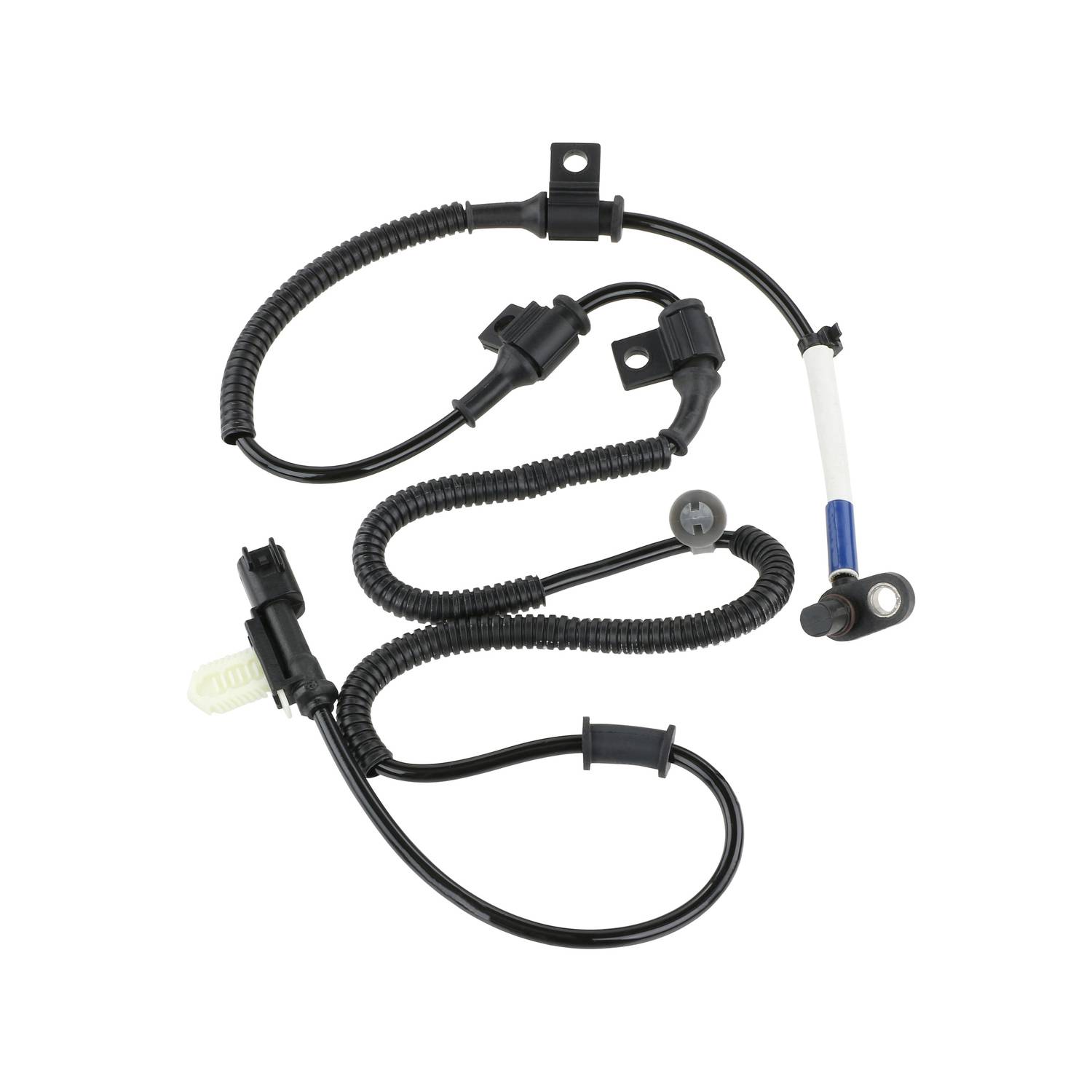 洋楽 shyoLMTF AAS ADTR ZZ Top - I'm Bad I'm Nationwide (Official