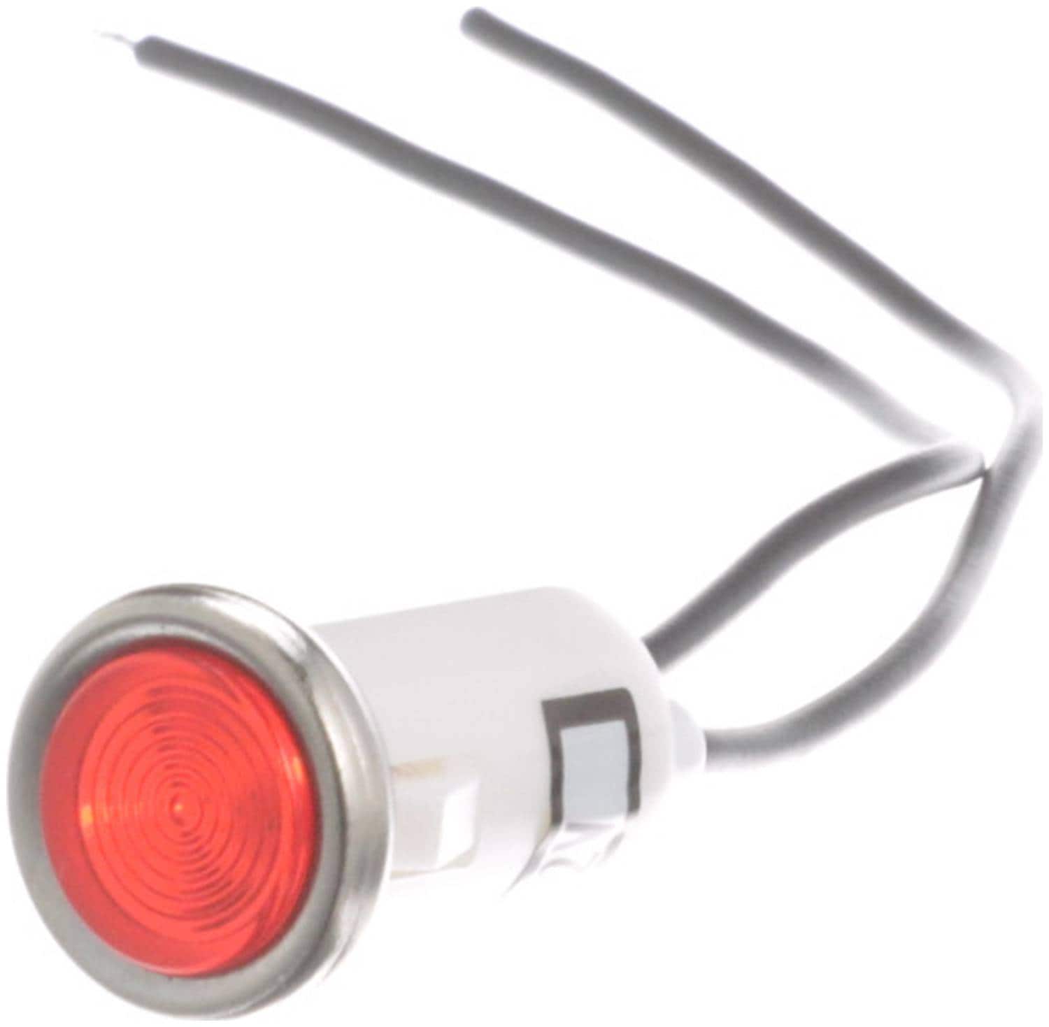 Standard Ignition Indicator Light DS366 | O'Reilly Auto Parts