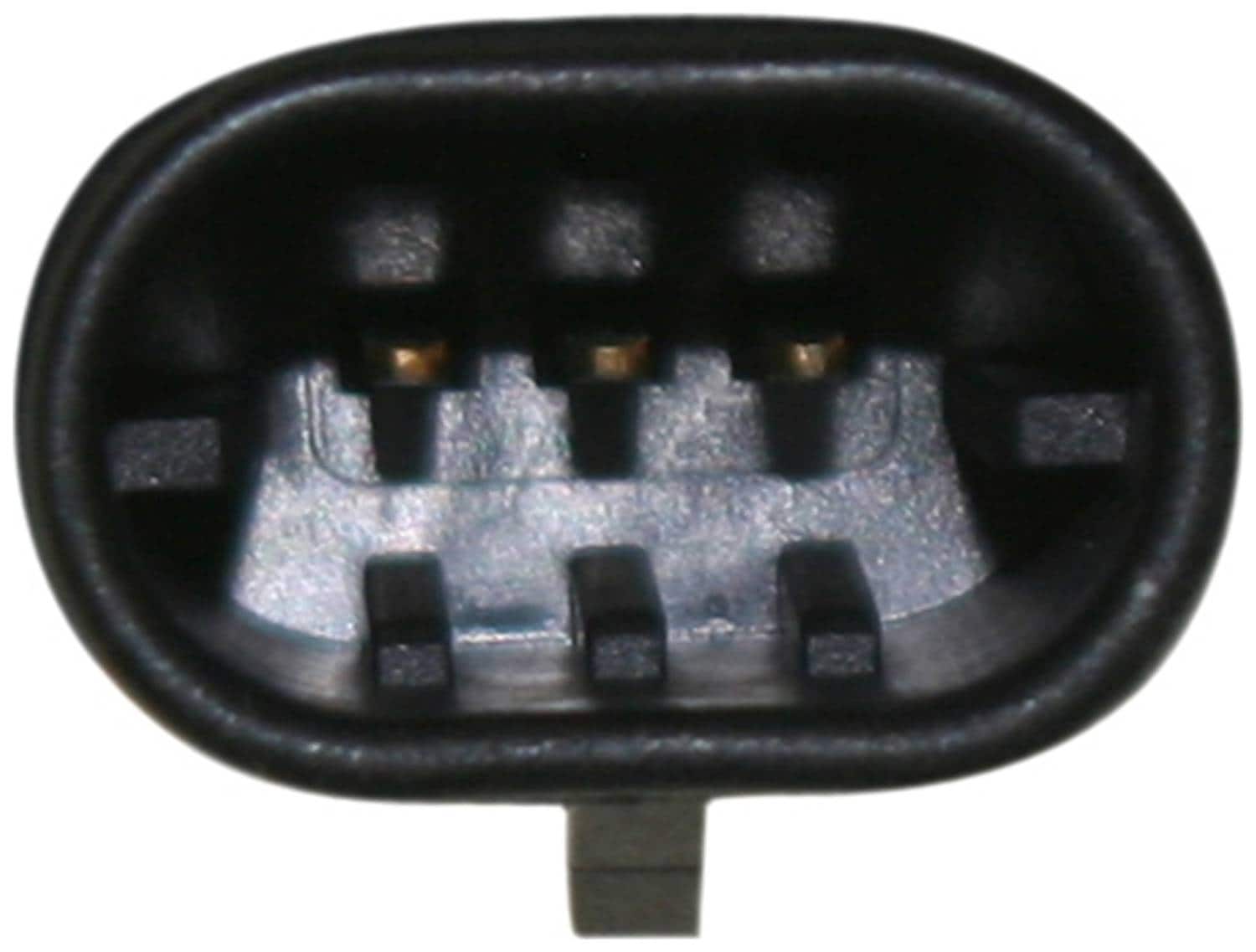 921-2003-6_3.jpg