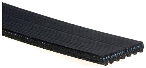 Amazon.com: ACDelco GM Original Equipment 12636139 V-Ribbed
