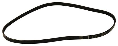 ACDelco Serpentine Belt 12636225 O'Reilly Auto Parts
