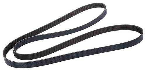 ACDelco Serpentine Belt 12636226 | O'Reilly Auto Parts