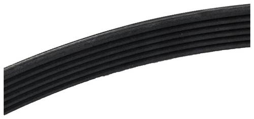 ACDelco Black Serpentine Belt | 6K725