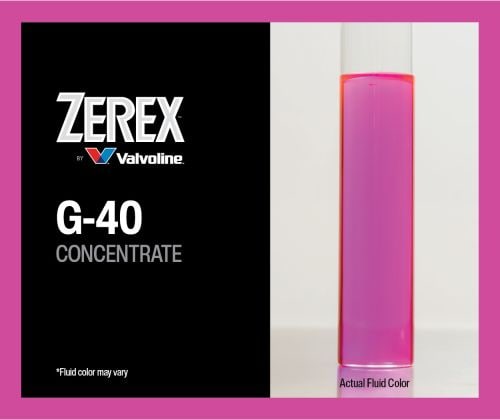 Zerex 1 Gallon Pink, Purple Concentrate Antifreeze/Coolant