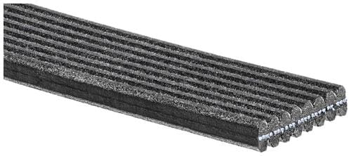 Amazon.com: ACDelco GM Original Equipment 12638808 V-Ribbed