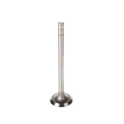 DNJ® EV223 Exhaust Valve - Direct Fit, Sold Individually - View #9