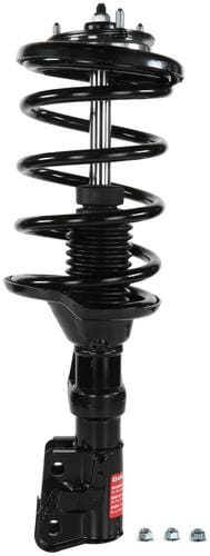 コロンビア産　キプリスモルフォ 111mm Amazon.com: Monroe Quick-Strut 172766 Suspension Strut and