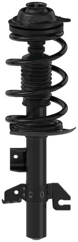 コロンビア産　キプリスモルフォ 111mm Yahoo!オークション - 外国産蝶標本 キプリスモルフォ 1♂ A