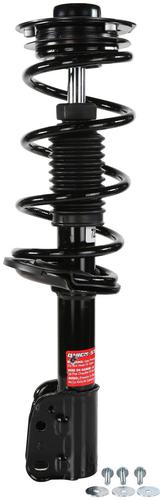 コロンビア産　キプリスモルフォ　116mm 2024新商品 コロンビア Columbia ベクトルパーク | 066