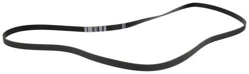 Motorcraft Serpentine Belt 8 Rib 126-13/16 Inch JK81267A | O