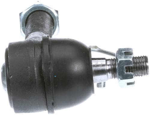 NaNa　1600個 Aurora Studio NANA Komatsu Nana Model Pre-order 1/6 Scale H28cm