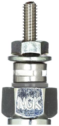 NGK Glow Plug 2031 | O'Reilly Auto Parts