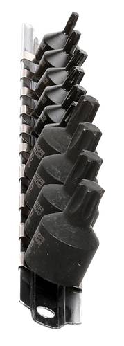 Power Torque 10 Piece 1/4, 3/8 Inch Drive Star Socket Set