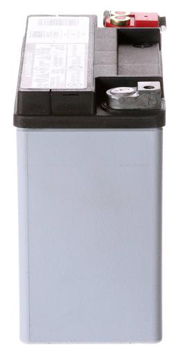 Free Shipping! EverStart AGM Power Sport Battery, 9BS Group Size