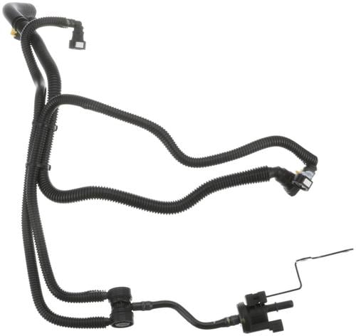 KOINONIA,コイノニア,ルー・パーディニ,4CD+2DVD Lovejoy 68514412612 | L276 SOX OCT 1-3/4 | Jaw Coupling Spider