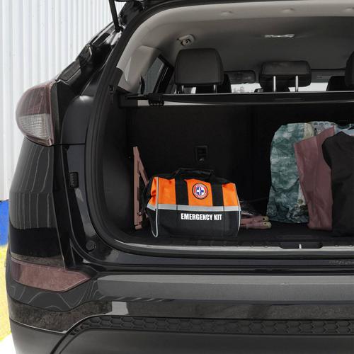 Lifeline First Aid AAA Executive Road Kit- 67 Piece 4366AAA At