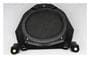 ACDelco Speaker