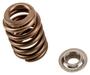 ACDelco Valve Spring Kit