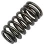 ACDelco Valve Spring