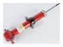 ACDelco Shock