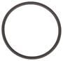 ACDelco Fuel Pump Housing Seal