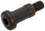 ACDelco Timing Chain Guide Bolt