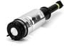 Arnott Air Suspension Air Strut
