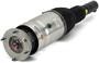 Arnott Air Suspension Air Strut
