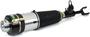 Arnott Air Suspension Air Strut