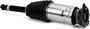 Arnott Air Suspension Air Strut