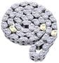 Cloyes Timing Chain