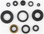 Cometic Oil Seal Kit
