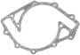 Cometic Water Pump Gasket