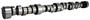 Comp Cams Magnum Solid Roller Camshaft