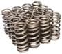 Comp Cams Beehive Valve Spring