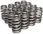 Comp Cams Beehive Valve Spring
