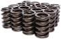 Comp Cams Valve Spring Kit
