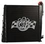 CSF Cooling Intercooler
