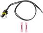 Dorman HD Solutions 1 Terminal Pigtail
