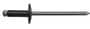 Disco Automotive Rivet