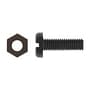 Disco Automotive License Plate Screw Kit