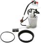 Delphi Automotive Fuel Pump Module Assembly